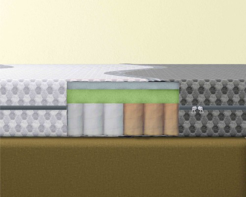 Ortho Pro